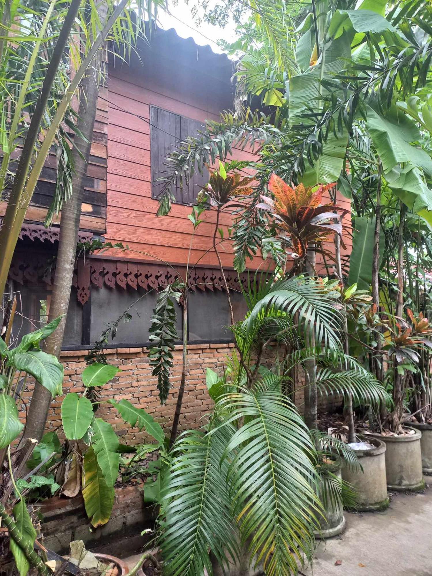 מלון Teak House צ'יאנג מאי מראה חיצוני תמונה