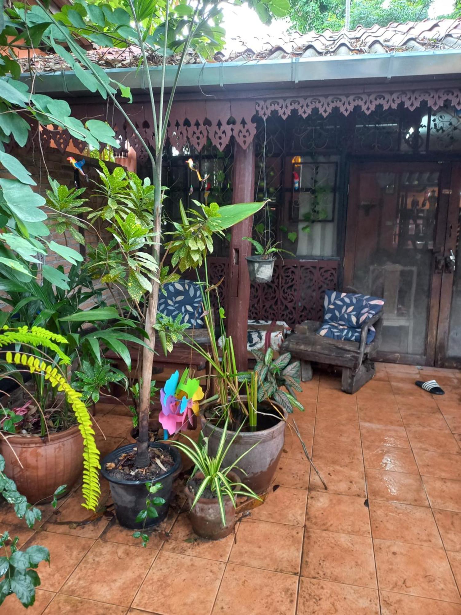 מלון Teak House צ'יאנג מאי מראה חיצוני תמונה